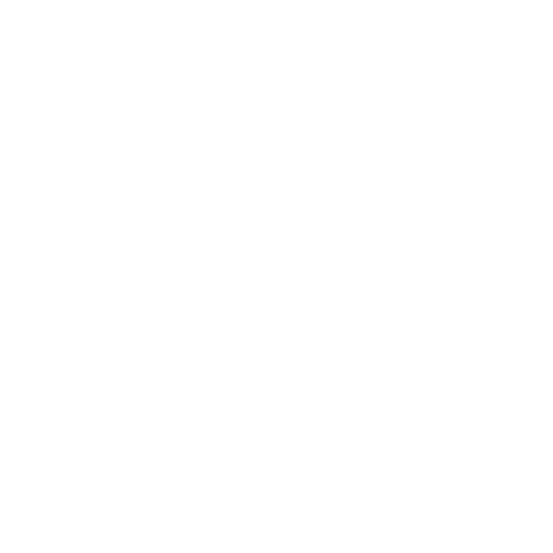 Michelangelo Zoppini logo bianco