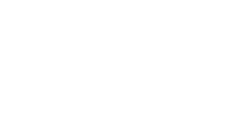 Logo bianco Lucia Fenzi