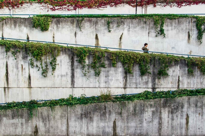 Serie di muri sovrapposti con piante