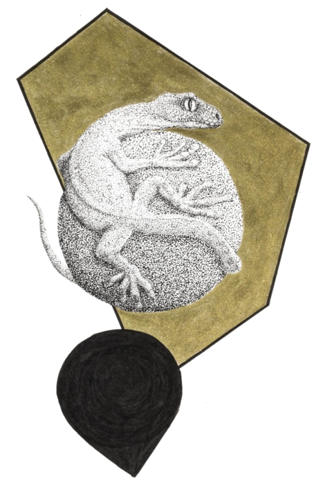 Illustrazione di una lucertola aggrappata ad una sfera
