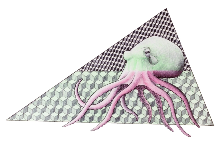 Illustrazione di un polipo mezzo rosa e mezzo verde