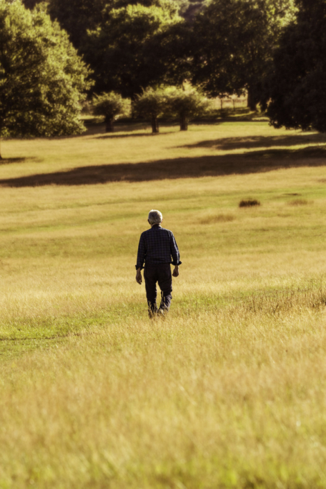 Uomo di spalle che cammina in mezzo alla natura