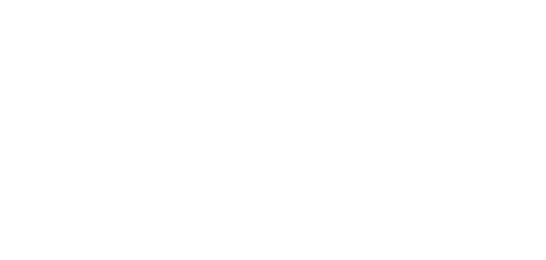 Logo bianco Fenzi