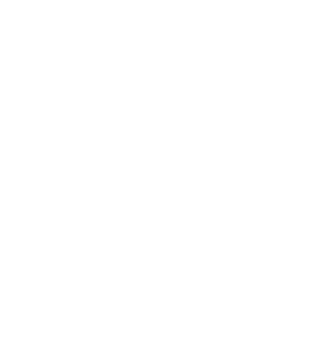 Logo bianco Lucia Fenzi versione ridotta